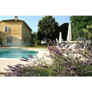 Need to speak with agent