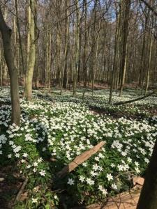 Apartment Am Stadtwald in Werne an der Lippe NRW