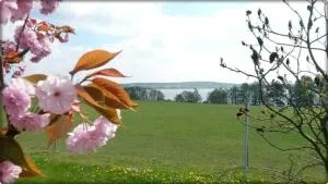 Ferienwohnung Mäckelborg am schönen Woblitzsee - Below