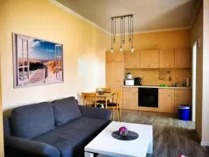 Studio - Kleiner Seehund - 佩讷明德