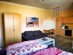 Studio - Kleiner Seehund