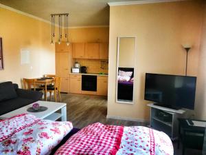 Studio - Kleiner Seehund