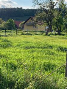 Ferienwohnung Pusteblume