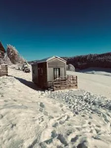 Tiny house Vata - Bugny