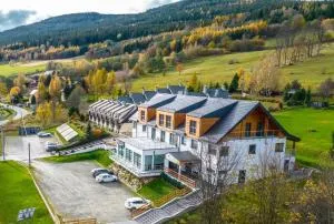 Hotel i Apartamenty pod Śnieżnikiem - 德武戈波莱兹德鲁伊
