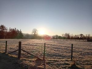 Sunny Mount Glamping Pod