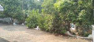 Holiday homes in kidangoor kottayam kerala