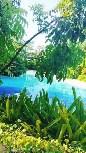 Laras cozy room @Tambuli Resort