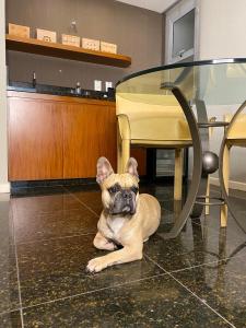 Promenade Palladium Leblon