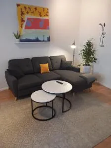 Ferienwohnung im Gründerzeitviertel mit Stellplatz - Neukirchen