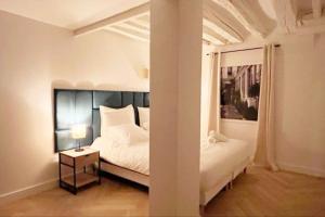 Magnificient Parisian Flat - Parisian heart