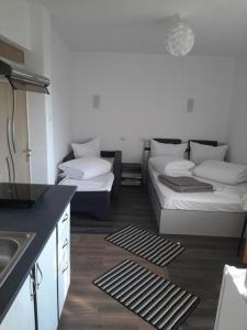 Apartamente Ambrus Praid