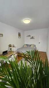 Duże pokoje w nowoczesnym stylu - Chrusty