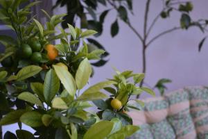 Studio 1 in Katerini