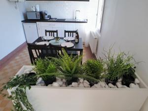 Appartements hyper centre joigny, tres lumineux : photos des chambres