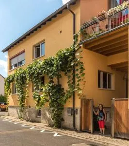 Unter den Reben - Forst