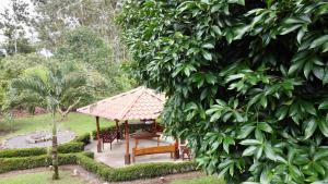 Bungalows Tulipanes CR, Private Cabin & Jacuzzi
