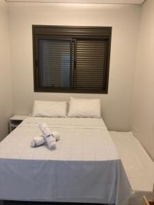 Conchas das Caravelas