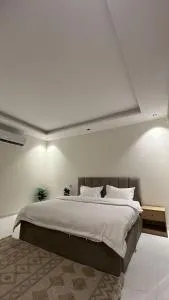 شقة سويس بدخول ذاتي - 阿尔卡吉