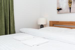 Mickiewiczova apartment free parking by Veronika & Jano