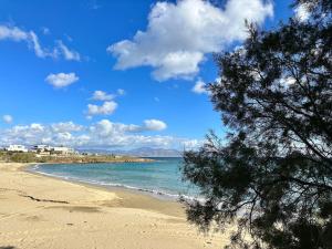 Paros Dream House Piso Livadi