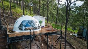 Tiny Pines A-Frame Cabin, Domes and Luxury Glamping Site
