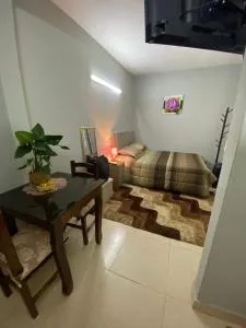 Lujoso ,cómodo MONOAMBIENTE - Capiatá