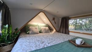 Appartements Tiny House Les nuits du Verger : photos des chambres