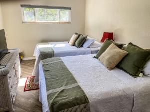 Island home on Kings Bay - manatees at the dock!