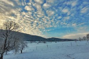 Maisons de vacances Silence of Alsace : photos des chambres