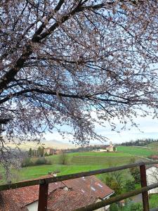 Affittacamere San Rocco