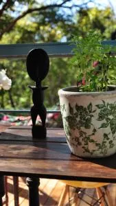 Casa na floresta na Chapada dos Veadeiros. - 圣若热岛