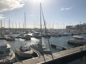 Studio Marina Deauville