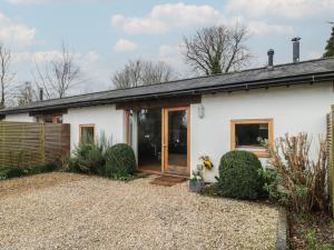 Russet, MARTIN (Near New Forest)