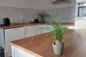 Ferienwohnung Stern - Unterthingau