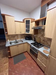 Apartament Ludźmierska Nowy Targ