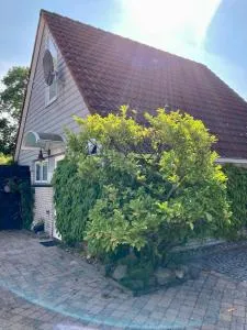 Gudrun 5 pers Equipped house with sauna. Dogs are welcome! - Oostmahorn