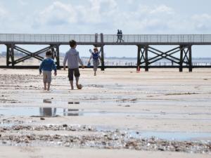 Maison de vacances avec piscine, terrasse et coin détente en forêt, proche plage! - FR-1-323-486