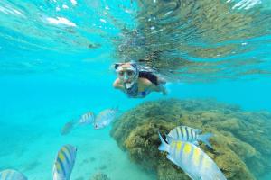 Apê 2: Pé na Areia Maragogi - O Caribe Brasileiro