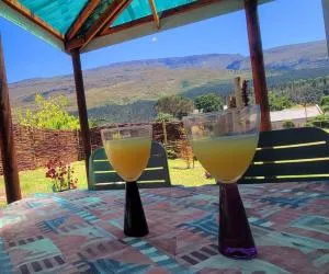 The Dreamcatcher's View - Slangrivier