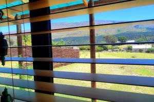 The Dreamcatchers View