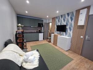 Maison dhôtes avec 3 appartements et un studio