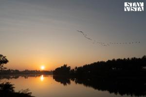 Golden Triangle by VEO - Part of StayVista