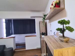 Cozy Apartment- zona centrala