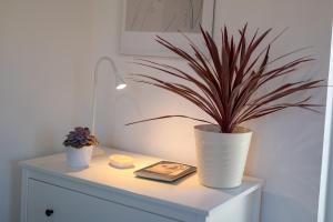 Seafront House on Island Korčula