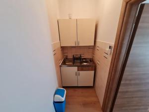 Comfy apartment Premantura 