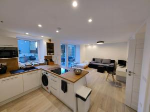 Haas Apartments Slepa, city centre, parking, courtyard - 4hvězdičkové hotely ve městě Brno