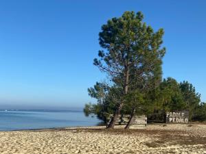 Campings MOBIL HOME 2 CHAMBRES CLIMATISE : photos des chambres