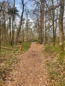 Forest Finest, luxe chalet met HOT TUB mooie overkapping en prachtige tuin met veel privacy
