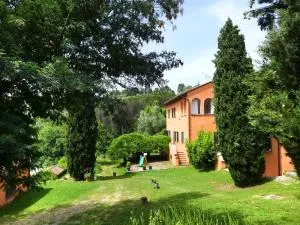 Agriturismo Poggio la Fioraia - Ripafratta